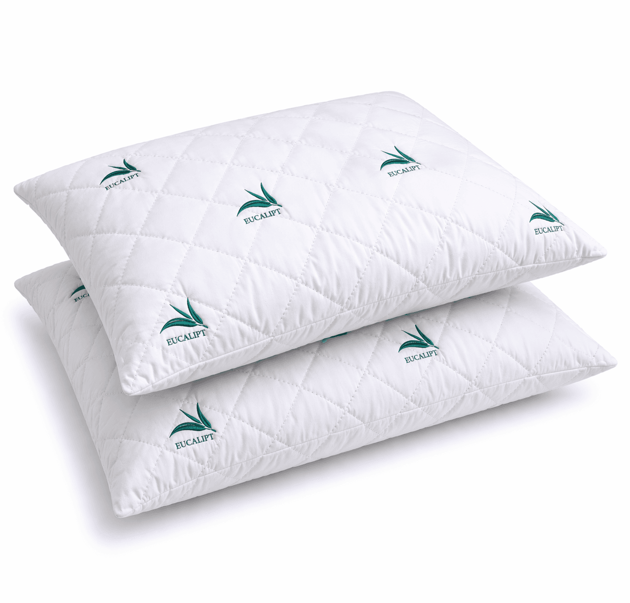 Set 2 perne cu Eucalipt 50x70 cm
